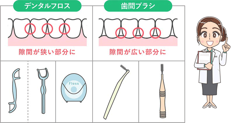 隙間を効果的に磨くためにデンタルフロスや歯間ブラシなどをお使いいただくと、口腔内を清潔に保つことができます