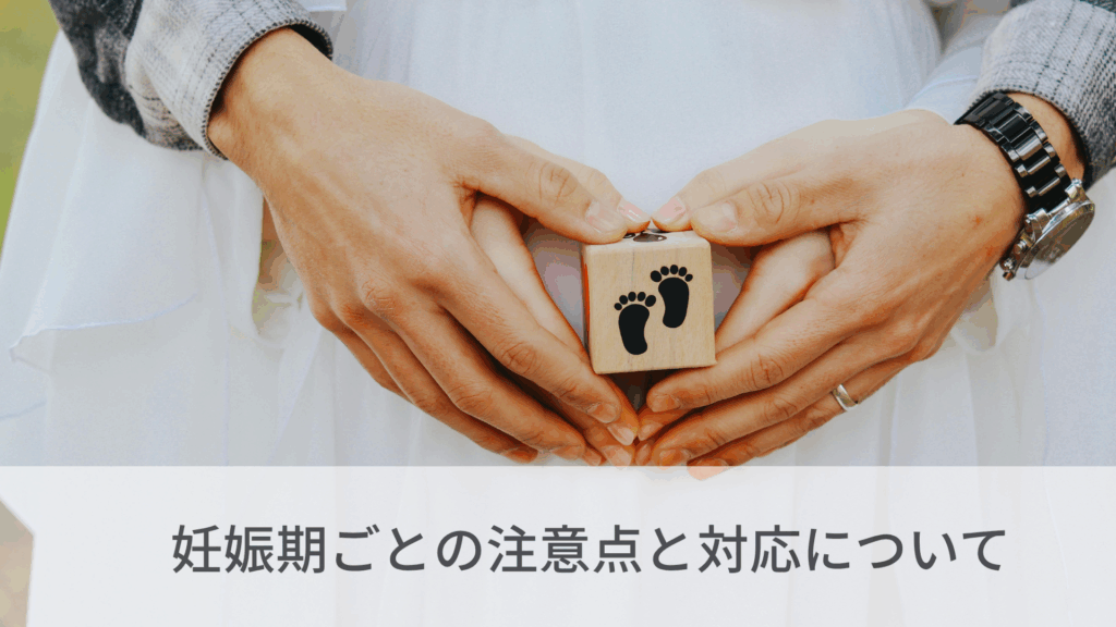 妊娠期ごとの注意点と対応について