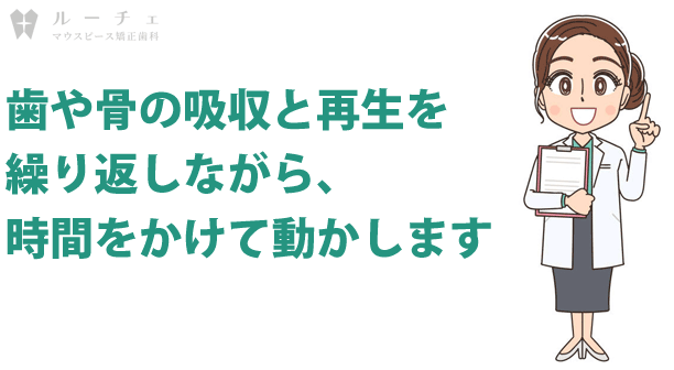 歯のメカニズム | ルーチェマウスピース矯正歯科 歯のメカニズム
