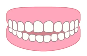 開咬（かいこう）